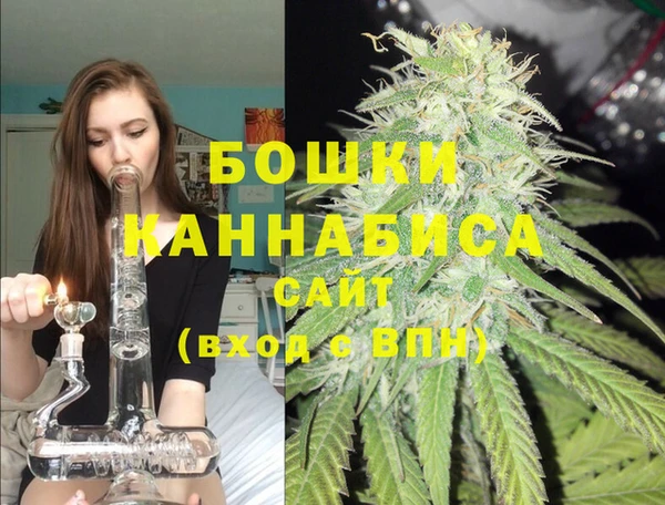 тгк Арсеньев
