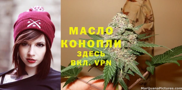дживик Мегион